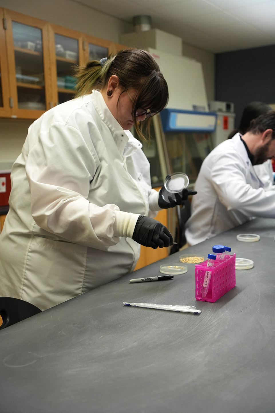 Joeanna Moore, wearing a white lab coat and black gloves, carefully examines a petri dish during a slime mold research session in a college laboratory setting. A Sharpie, plastic pipettes, and pink test tube holder are visible on the black lab table.