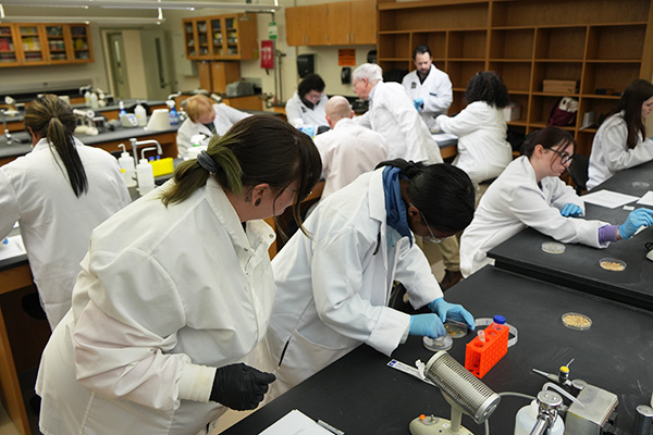 Students in white lab coats collaborate on a science experiment, examining petri dishes and recording observations in a busy lab environment.