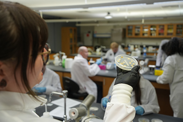 Joeanna Moore examines a petri dish closely while standing in a busy lab, with classmates in the background working on experiments.